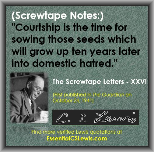 Conflict in the Screwtape Letters by C